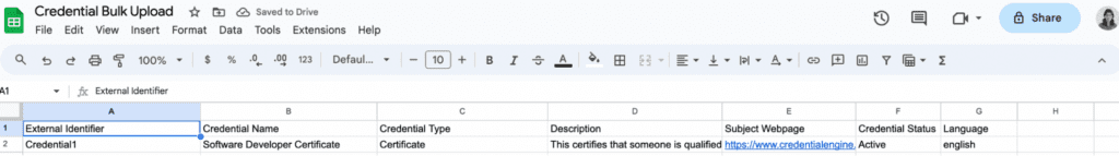 The template spreadsheet, showing column A and rows 2 and 3, which must be deleted before uploading.